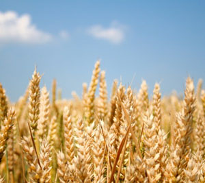 ����� ��������� �������: ���������� � ������������