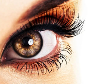 ����������� ����� ��� ������