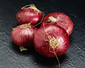 ������� ����������� ����� ��� �����