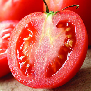 �������� ����������� ����� ��� ����