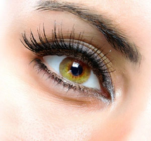 �������� �����: ������� ������� ������