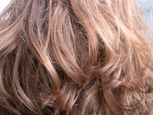 ���� �� �������� � ������� ������