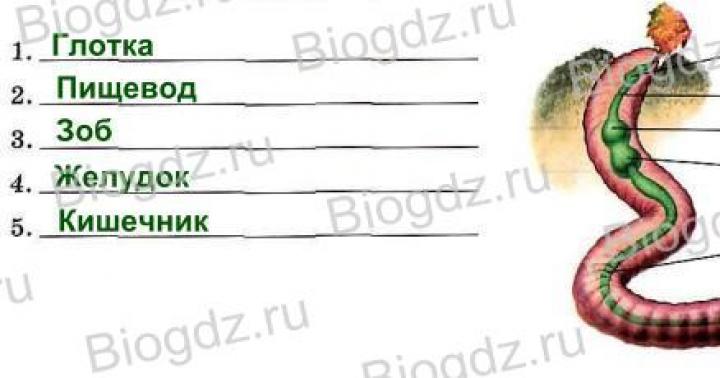 Optimal foydalanish uchun yopishtiruvchi keramika uchun qo'llaniladi va sirtning kamida 80 foizini qoplashi kerak.  Yopishqoq taglik tishlari bo'lgan maxsus spatula bilan qo'llaniladi.  Quritgandan so'ng, siz bo'g'inlarni grout qilishingiz kerak.  Yelim va grout qoldiqlari nam va yumshoq mato bilan chiqariladi.